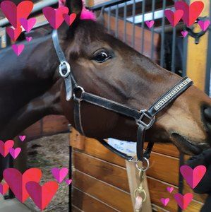 Meet your Posher, Edvyna